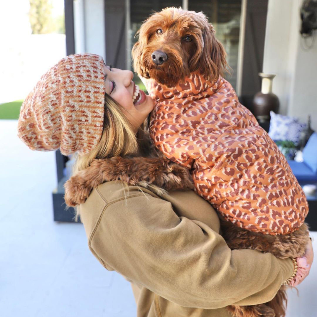 American eagle clearance dog clothes