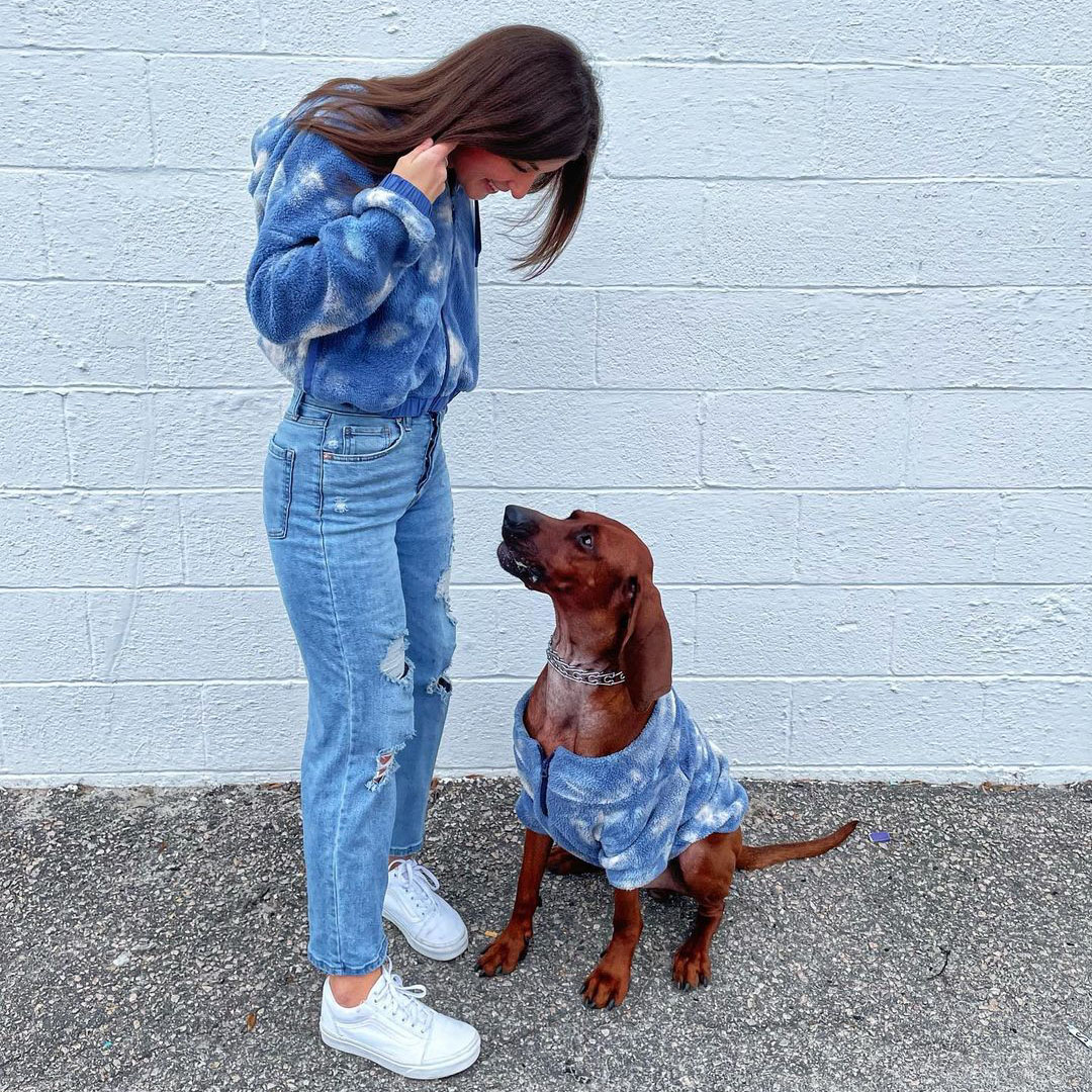 American eagle shop dog sweater